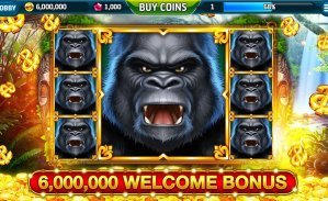 79kong
